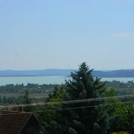 펜션 Holiday In Csopak/balaton 18325